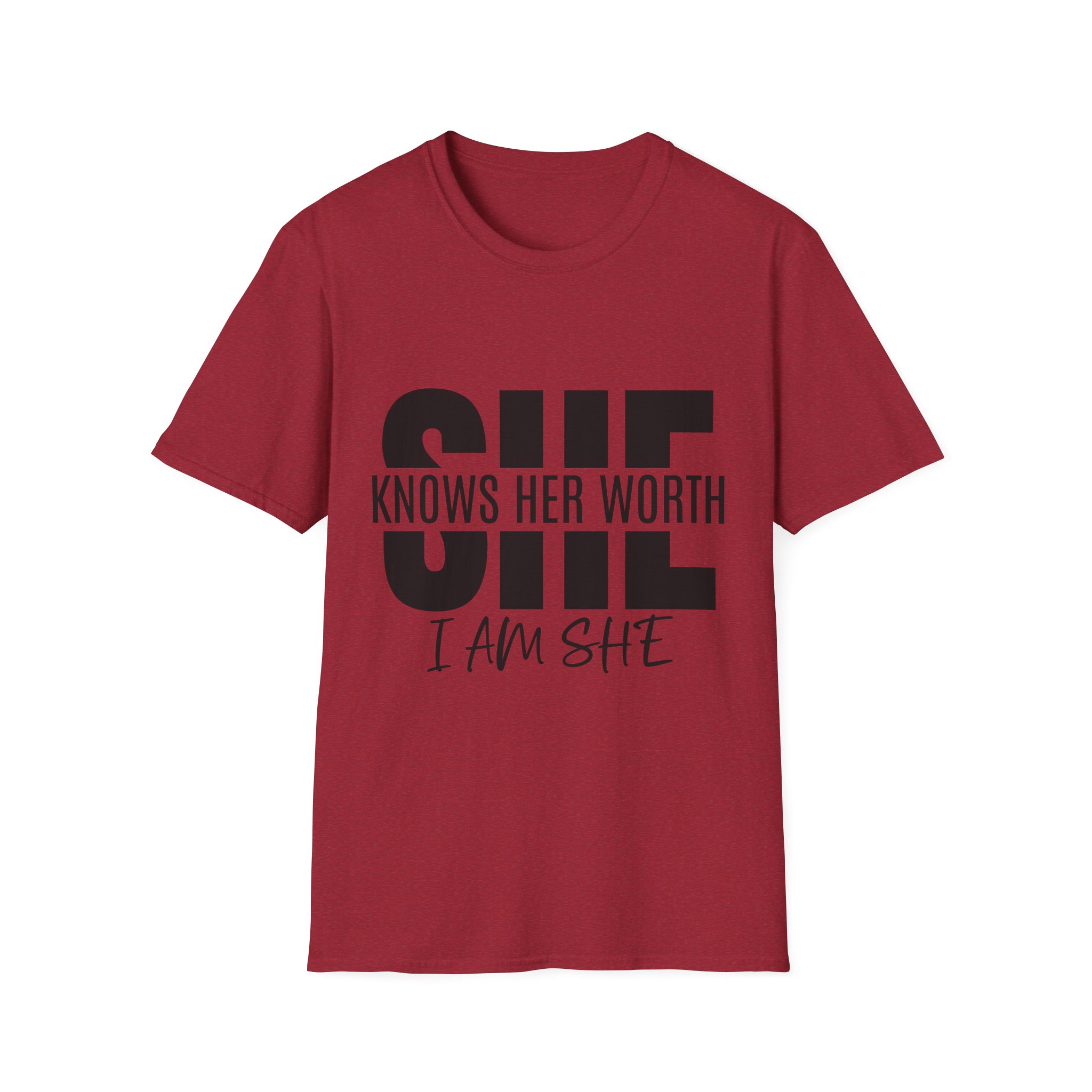 She Knows Her Worth Unisex Softstyle - Image 30
